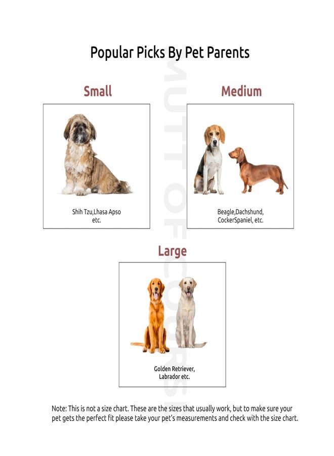 Mutt of Course طوق مارتينجال من جلد الفيل الهندي الملكي (صغير) - Image 4